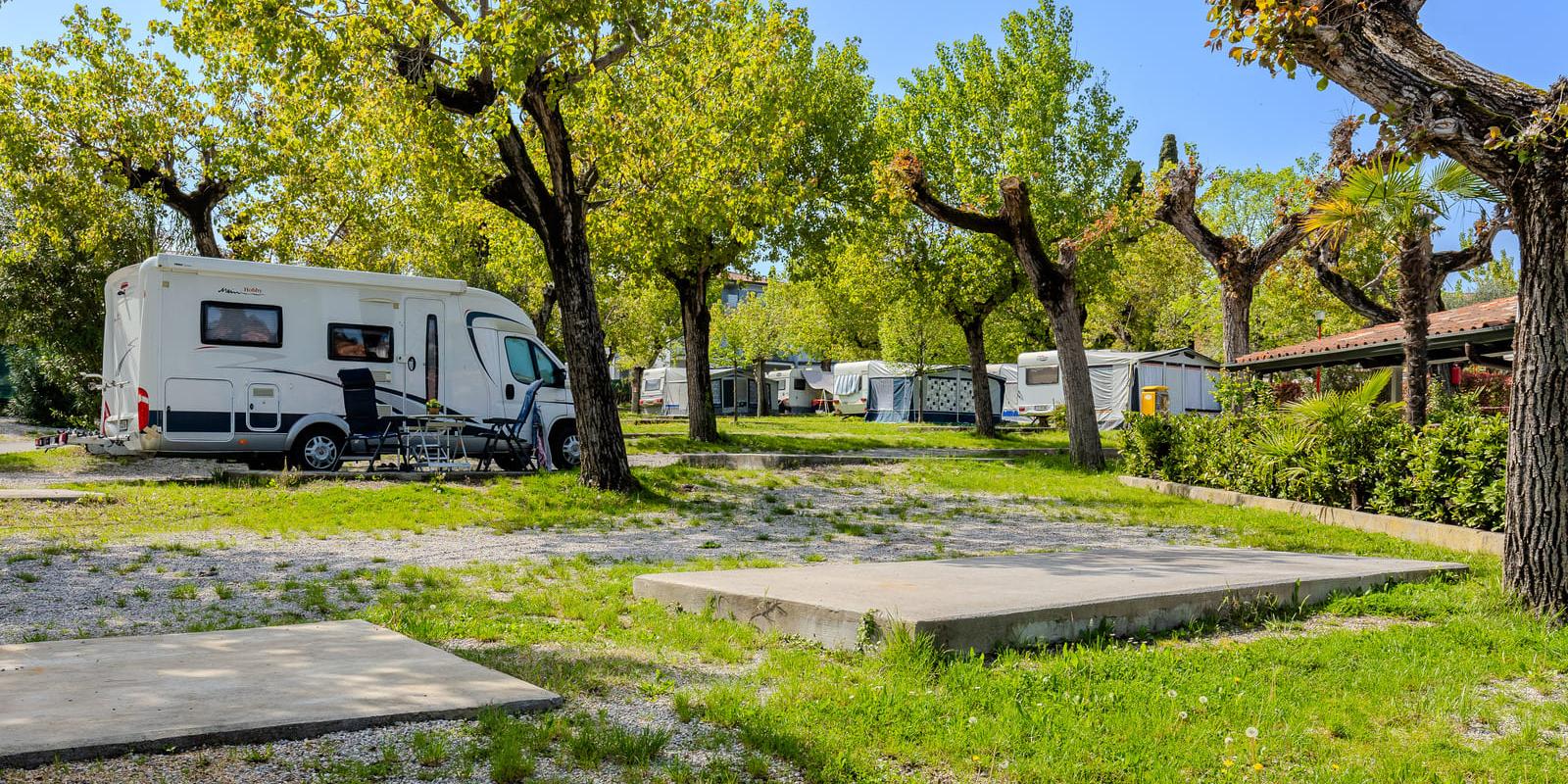 Camping-car garé dans une aire de repos ombragée avec des arbres.