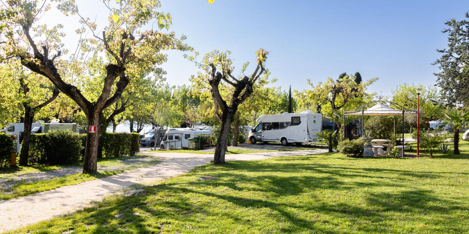 Campingplatz mit Wohnmobilen, Bäumen und Grünfläche an einem sonnigen Tag.