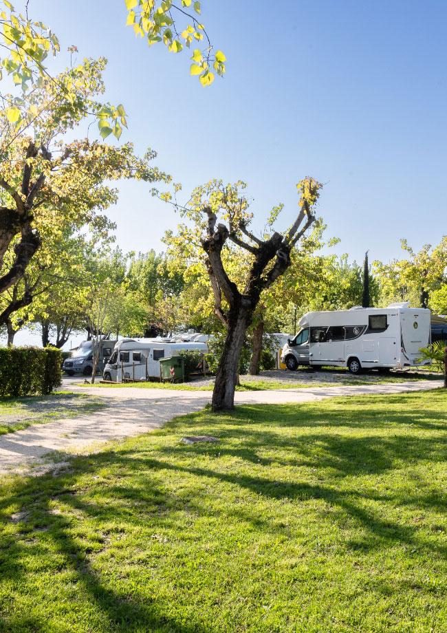 Wohnmobile zwischen Bäumen auf einem sonnigen, grünen Campingplatz geparkt.